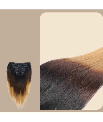 Straight Ombre Brown Chocolate Blonde Clip-In Extensions Kit 120 gr Pour