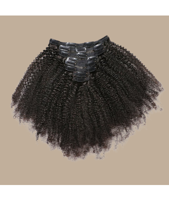 Afro Curly Brun 120 Gr Les magasins à Paris et en Île-de-France