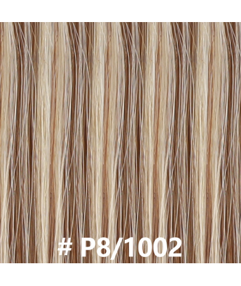 Premium Russian Hair Tape Extensions / tapes stive P8/1002 Par le système avancé 