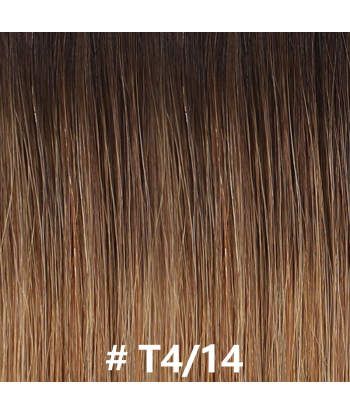 Premium Russian Hair Rett Hårvev T4/14 votre