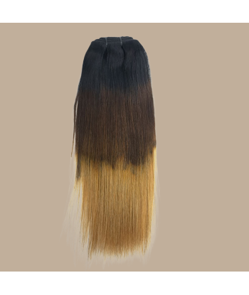 Straight Ombre Brown Chocolate Blonde Clip-In Extensions Kit 120 gr basket pas cher