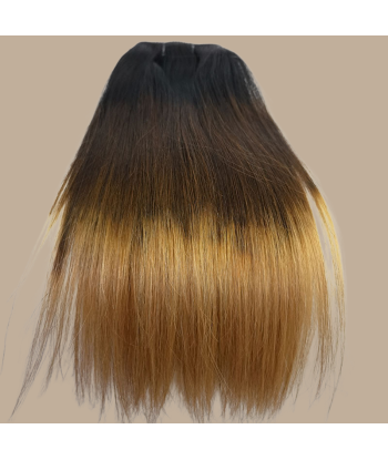 Straight Ombre Brown Chocolate Blonde Clip-In Extensions Kit 120 gr basket pas cher