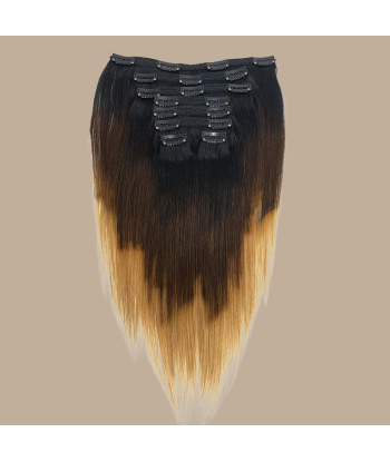 Straight Ombre Brown Chocolate Blonde Clip-In Extensions Kit 120 gr basket pas cher