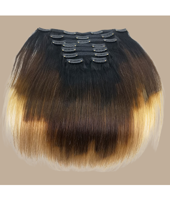 Straight Ombre Brown Chocolate Blonde Clip-In Extensions Kit 120 gr basket pas cher