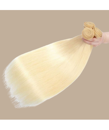 Haarglättung Jungfräuliches Haar Human Hair Straight 7A Platinblond 613 100 Gr vous aussi creer 