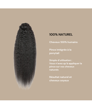 Rabo de cavalo castanho-escuro natural com mola para cabelo liso crespo d'Europe débarque