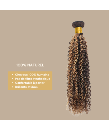 Weven Virgin Haar Human Hair Kinky Curly 7A Chatain Méché Blond P4/27 100 Gr s'inspire de l'anatomie humaine